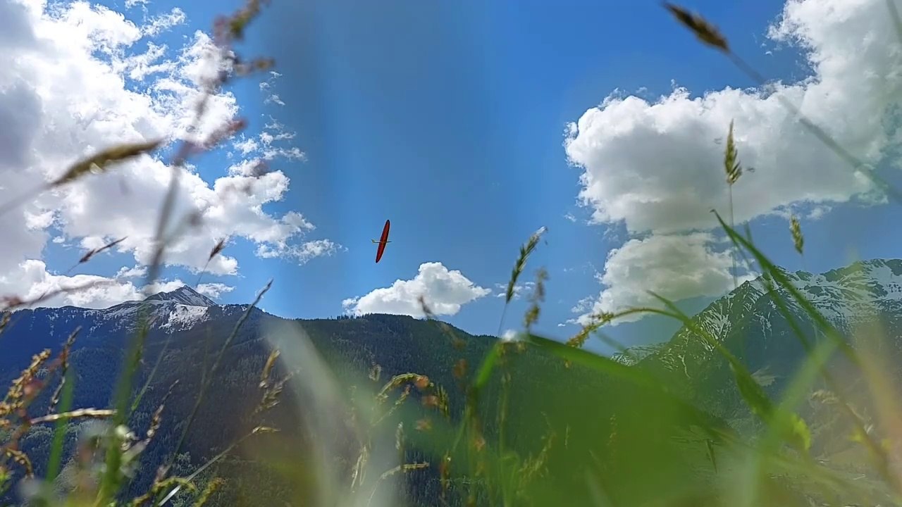 Wood wipe midi, Nurflügel am Haushang Ost aus der Bodenperspektive