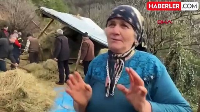 Artvin'de Heyelan Sonucu Ahır Çöktü, İnekler Telef Oldu
