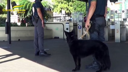 Corriere della droga arrestato agli imbarcaderi