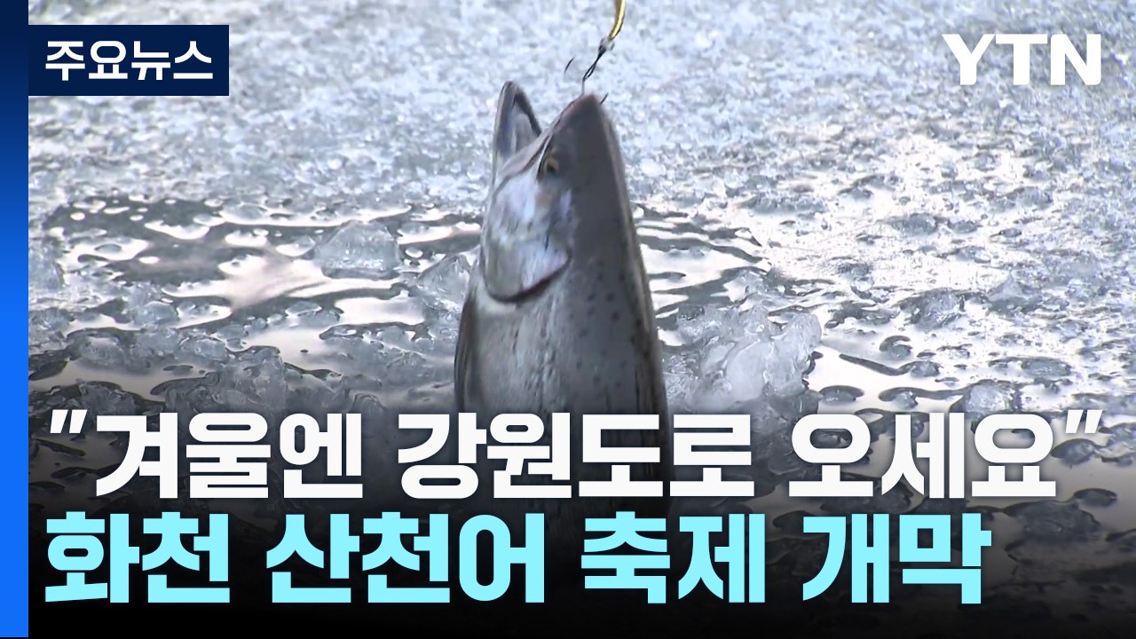 "겨울엔 강원도로 오세요" 화천 산천어 축제 개막 / YTN