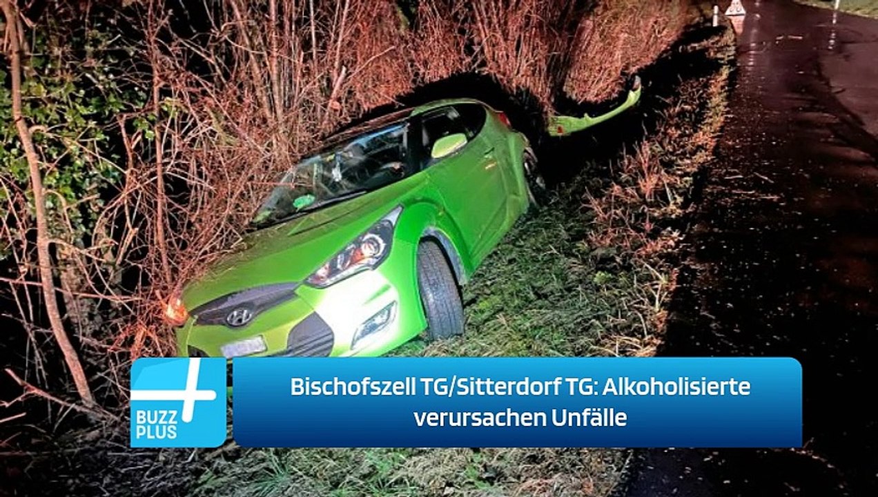 Bischofszell TG/Sitterdorf TG: Alkoholisierte verursachen Unfälle