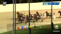 Max Delight wins the 2024 Group 2 Bendigo Pacing Cup