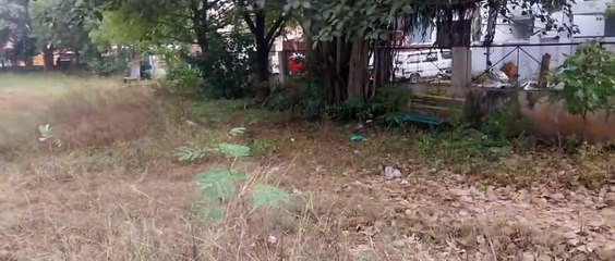 90 लाख से बनाई गई सडक़ें, पार्क को सफाई का इंतजार