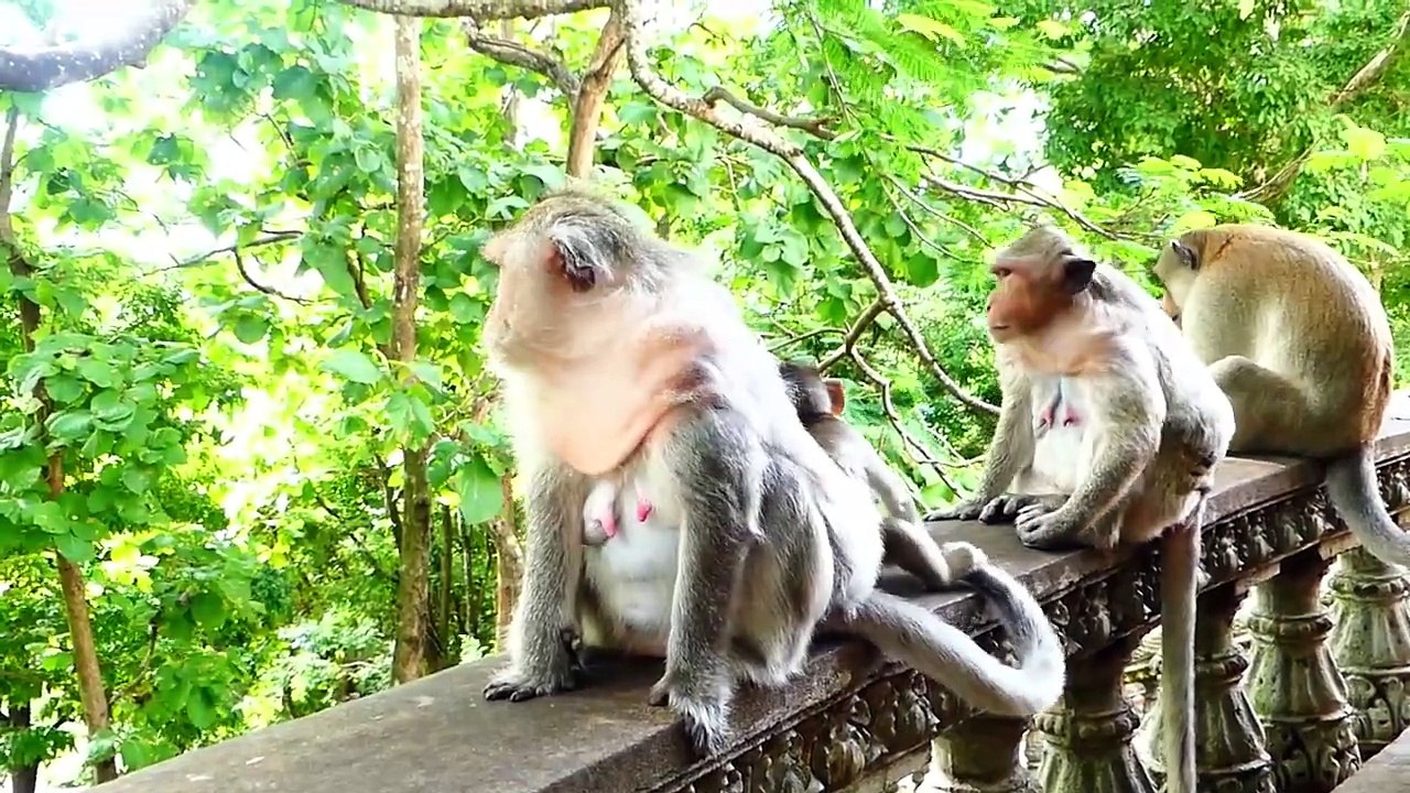 Oh look Funny for mother Barry and cutie baby Bella, charming girl feels hungry (720p_25fps_H264-192kbit_AAC)