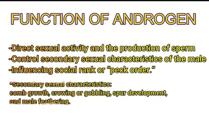 POULTRY 1 _ Male Avian Reproductive System _ Student Output