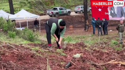 Marmaris'in ilk tescilli bal ormanında 5 bin fidan dikildi