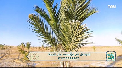 لقاء مع الشيخ محمد رضا للحديث عن أبرز جهود مؤسسة نبض الحياة | بنت البلد