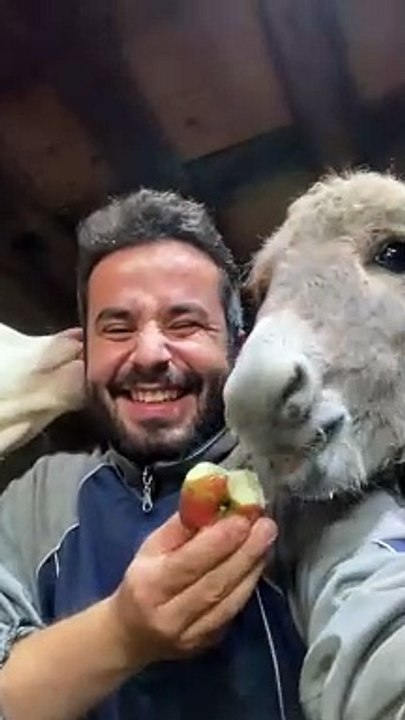 Man Shares Snacks With Farm Animals