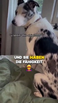 Mystery paranormal Ghost horror vidéos cam #fyp #viral #asmr #short #trend #scary #paranormal #horror #mystery