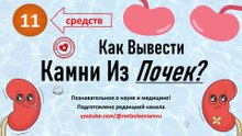 Как вывести камни из почек: 11 средств (методов) для лечения мочекаменной болезни
