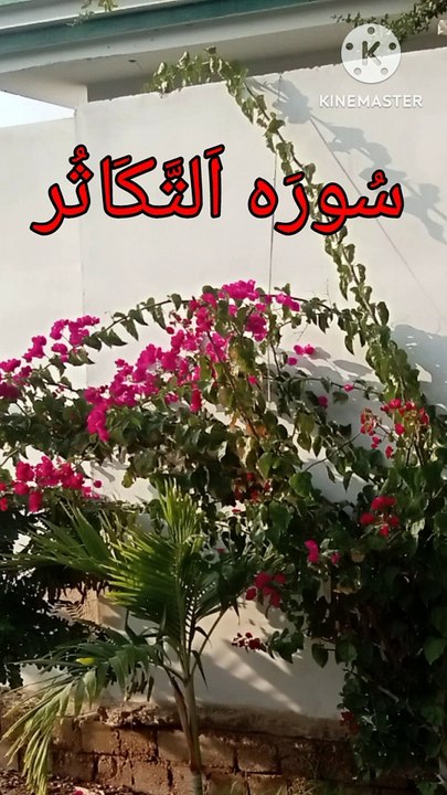 Surah Al Takasur | Al takasuer | Quran tilawat | quranic verses