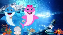 Baby Shark dance | #babyshark most fun video | Animal songs | Little heroes songs