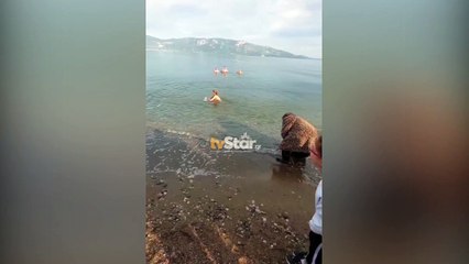 Φθιώτιδα: Ο μικρότερος σε ηλικία που βούτηξε στα παγωμένα νερά για τα Θεοφάνια ήταν ένας 6χρονος από τον Λογγό