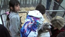 Au salon Animal Mania, parc Chanot à Marseille : ne pas craquer, ne  pas craquer