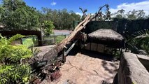 South-East Queensland homes continue storm recovery effort