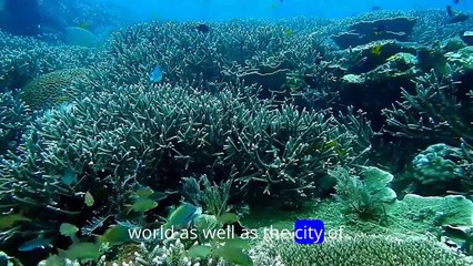 An exciting trip to the beaches of Egypt