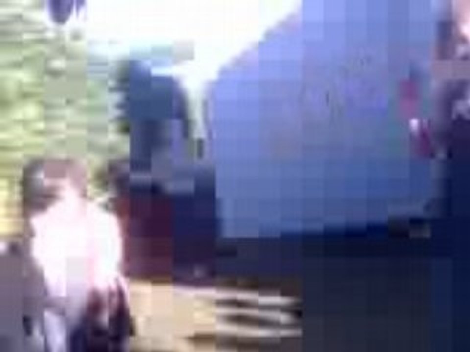 Cotoss