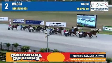 Anyonewilldo winning at Riverina Paceway