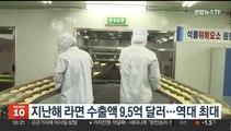 지난해 라면 수출액 9.5억 달러…역대 최대