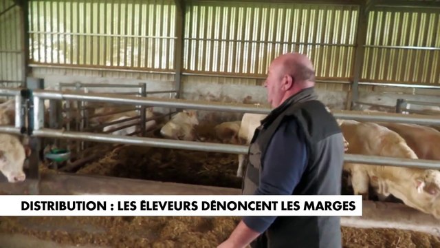 Distribution : les éleveurs dénoncent les marges