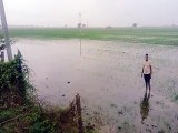 नहर ओवरफ्लो होने से खेतों में भरा पानी-video