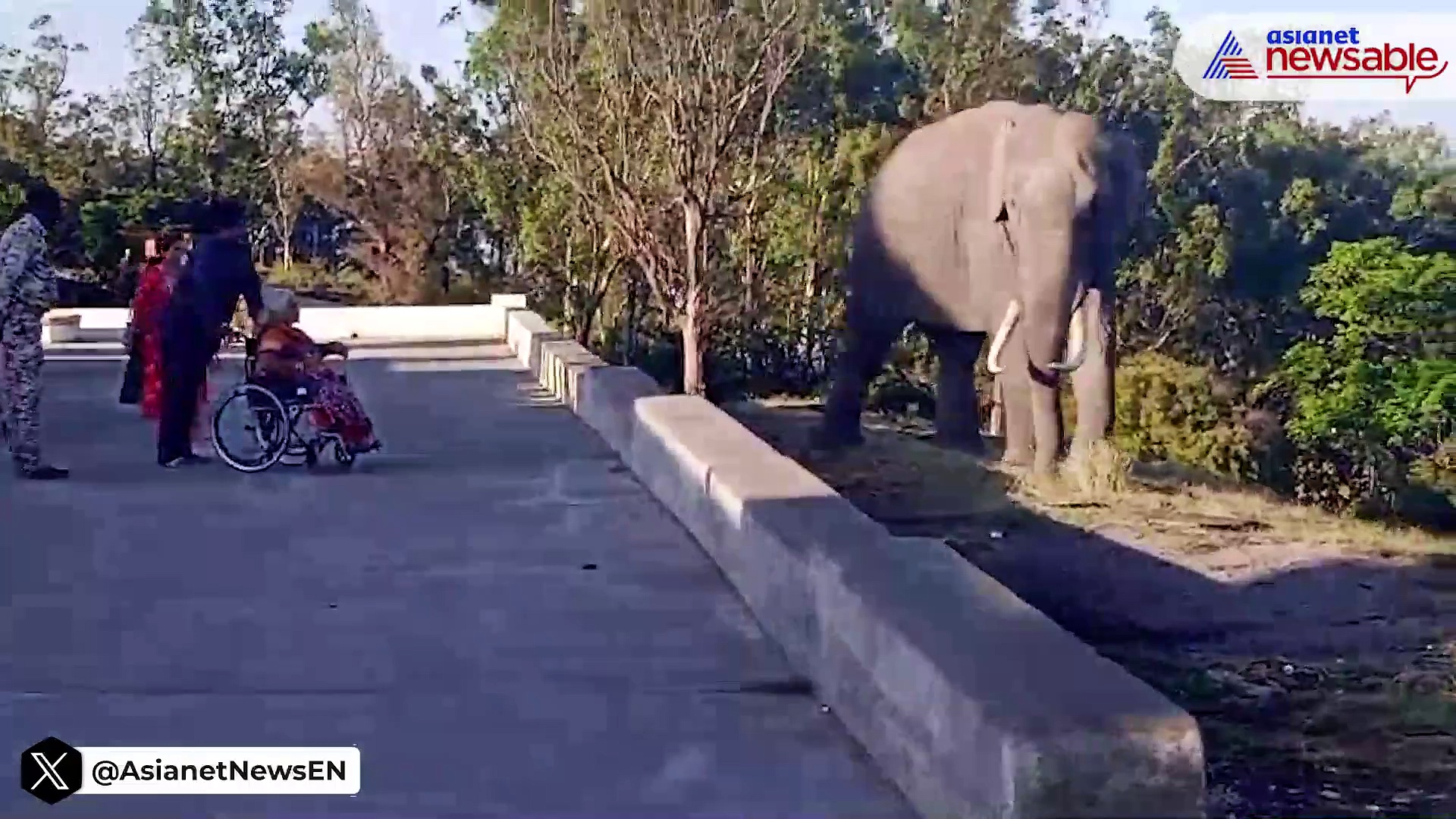 Karnataka: Lone Tusker roaming near Himavad Gopalaswamy Temple in Chamrajnagar captivates devotees (WATCH)