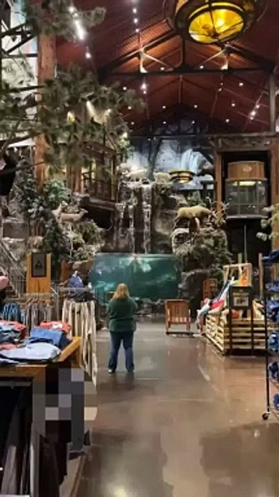 WATCH: Naked man dive into the fish aquarium at a Bass Pro Shop  Leeds | Alabama