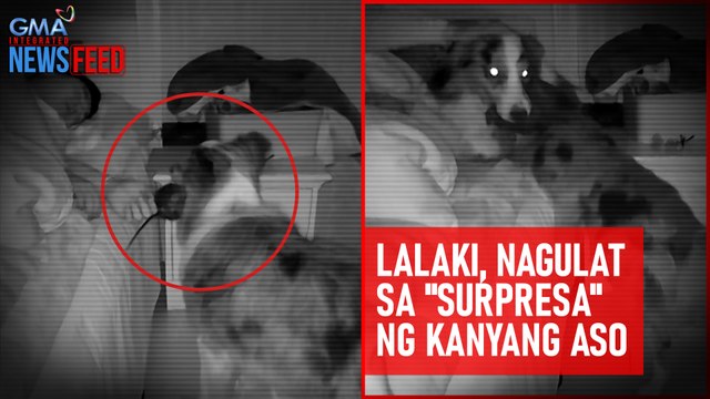 Lalaki, nagulat sa surpresa ng kanyang aso | GMA Integrated Newsfeed
