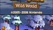 Animal Crossing: Wild World online multiplayer - nds