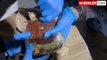 Elazığ'da Otobüste Uyuşturucu Operasyonu: 28 Kilo Eroin ve 1 Kilo Metamfetamin Ele Geçirildi