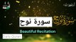 Beautiful Recitation of Surah Nuh سورة نوح | soft voice