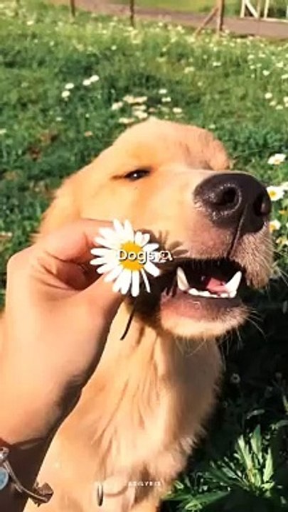 Cuteness 