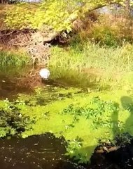 Don't eat what you can't digest !!