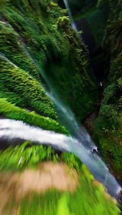 You must visit this place before it's too late 