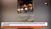 Fuerte temporal provocó inundaciones, caída de árboles y desborde de arroyos