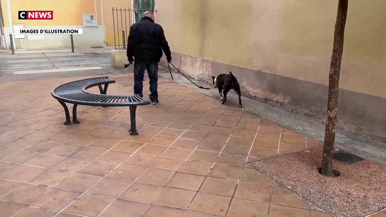 Eure : un arrêté municipal pour limiter les aboiements des chiens