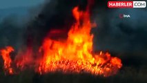 Beyşehir Gölü Milli Parkı'nda Sazlıklar Alev Alev Yandı