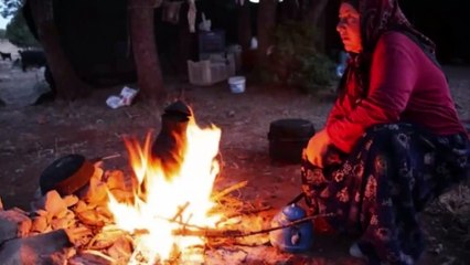 Yörük Türküsü Ağ Gelin