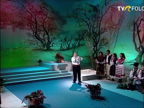 Dumitru Farcas - Doina la taragot (Tezaur folcloric - 1996)