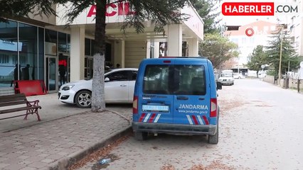 Kestiği ağaç sonu oldu