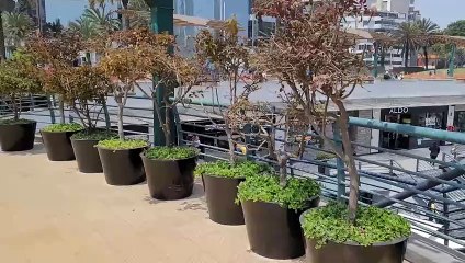 Santiago, Peru - City Walking Tour