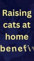 Raising cats at home benefits #pets_birds #cats_care #raising_cats