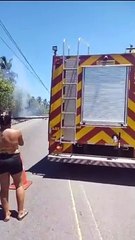 Incêndio em mata derruba postes, expõe fiação e bloqueia AL-101 Norte