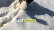 Sunshine or Snowflakes | This Pup's Everlasting Walk of Happiness || #heartsome  #snowpuppy