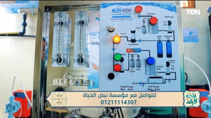 جهود مؤسسة "نبض الحياة" في مساعدة الفقراء