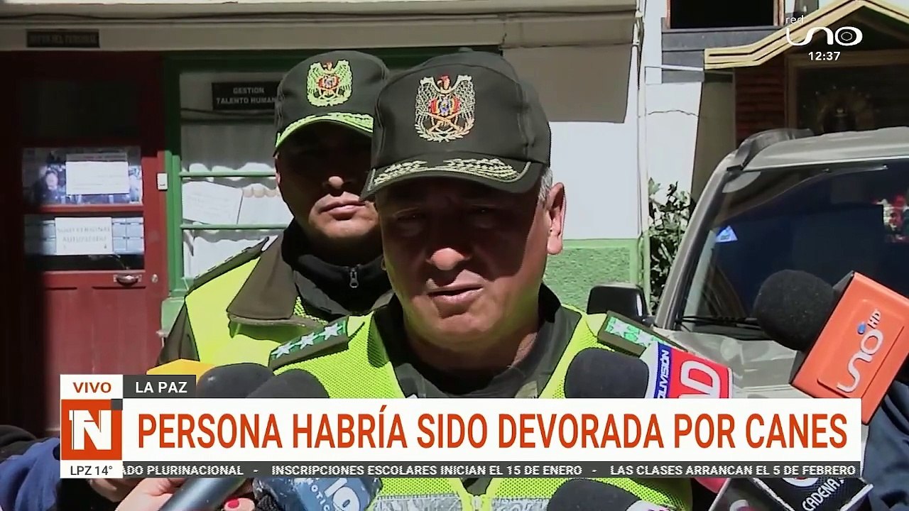 Persona habría sido devorado por canes
