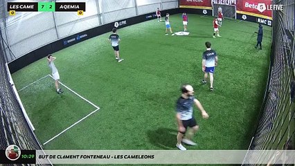 But de Clément FONTENEAU - LES CAMELEONS