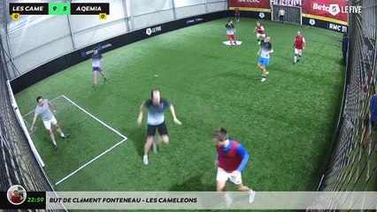 But de Clément FONTENEAU - LES CAMELEONS