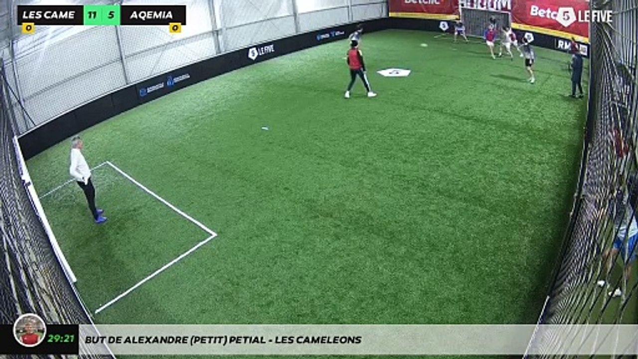 But de Alexandre (petit) Petial - LES CAMELEONS