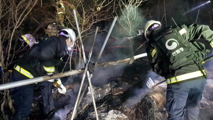 '건조주의보' 부산서 산불...진화 인력 129명 긴급투입 / YTN